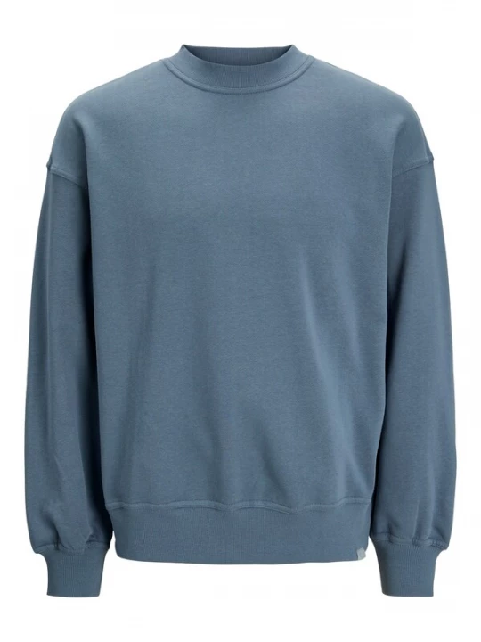 Foto van product JACK & JONES Sweatshirt 'JCOCollective' duifblauw