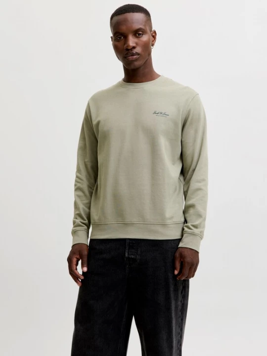 Foto van product JACK & JONES Sweatshirt 'JJEARCHIVE' pastelgroen