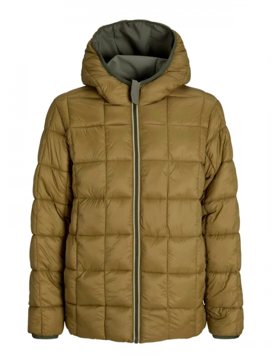 Foto van product JACK & JONES Winterjas 'JJEBrook' olijfgroen