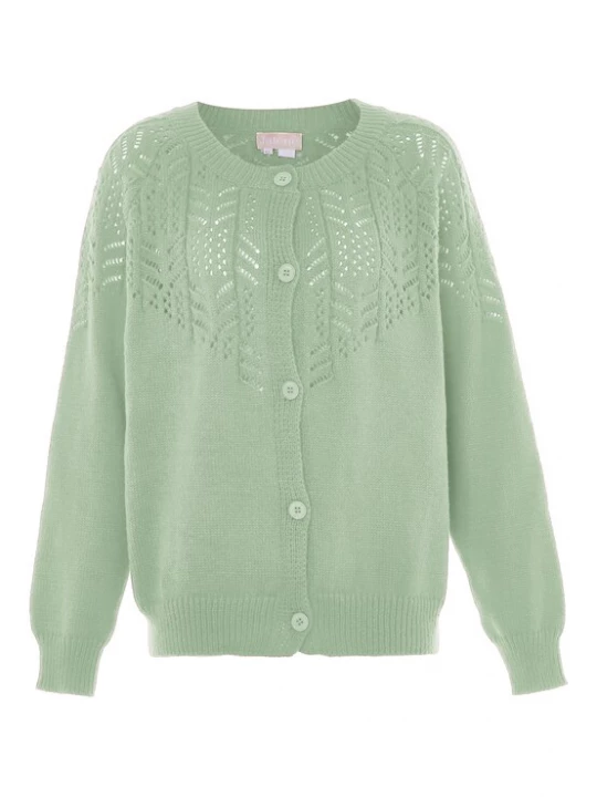Foto van product Jalene Gebreid vest pastelgroen