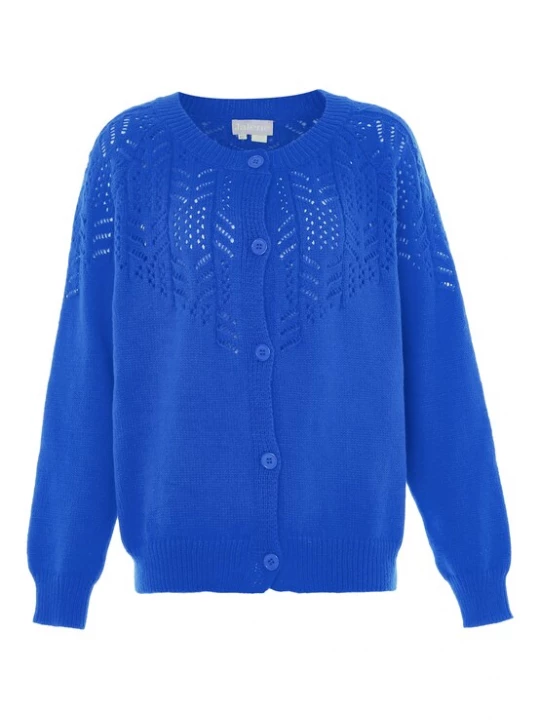 Foto van product Jalene Gebreid vest royal blue / koningsblauw