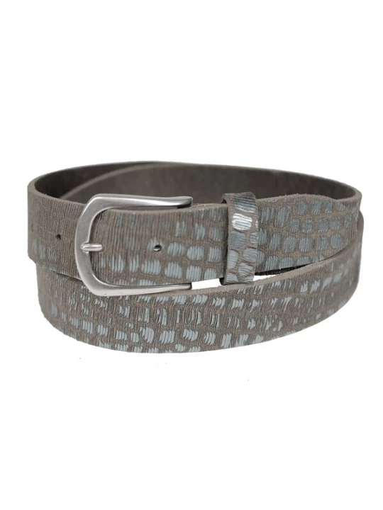 Foto van product JCC Riem zilvergrijs / zilver
