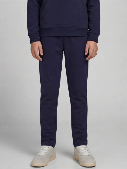 Foto van product JJ Rebel Broek 'JREBCREST' navy