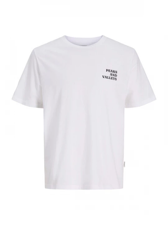 Foto van product JJ Rebel Shirt 'JREBJENNER' duifblauw / antraciet / lichtgrijs / wit