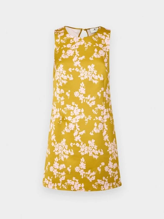 Foto van product Jurk Elisabetta Franchi
