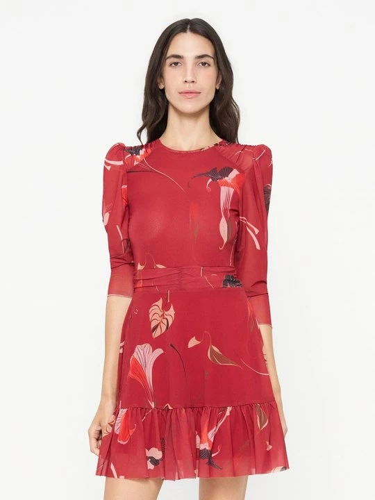 Foto van product Jurk Ted Baker rood