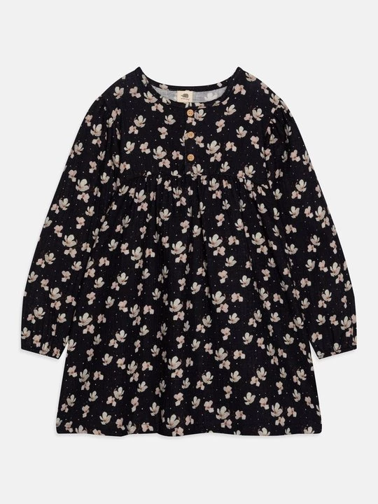 Foto van product Jurk Walkiddy blauw