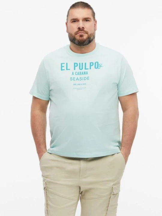 Foto van product Katoenen T-shirt met print aan de voorkant s.Oliver