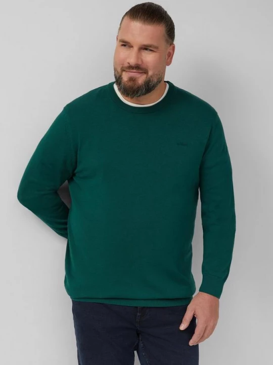 Foto van product Katoenen trui met geborduurd logo s.Oliver groen