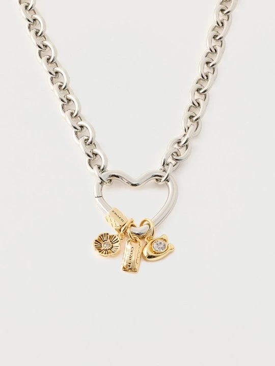 Foto van product Ketting Coach zilverkleurig