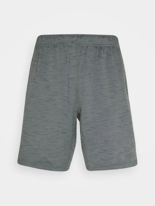Foto van product Korte broeken Nike grijs