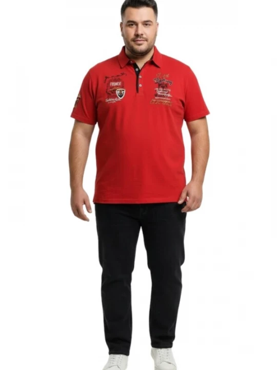 Foto van product Lavecchia Shirt 'LV-3101 Übergrößen' rood