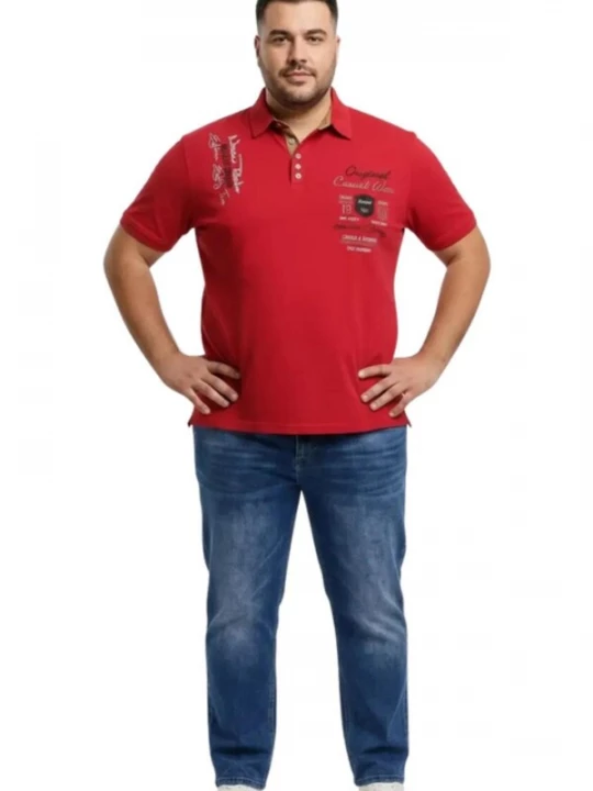 Foto van product Lavecchia Shirt 'LV-610 Übergrößen' rood