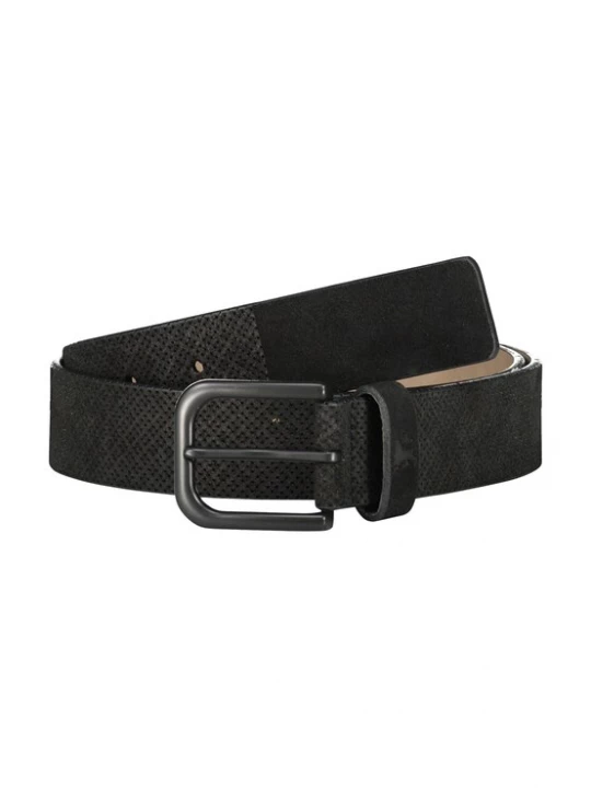 Foto van product LERROS Riem zwart
