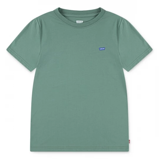 Foto van product Levi's Kids Shirt groen