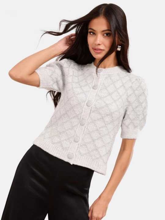 Foto van product Lipsy Gebreid vest zilver / offwhite