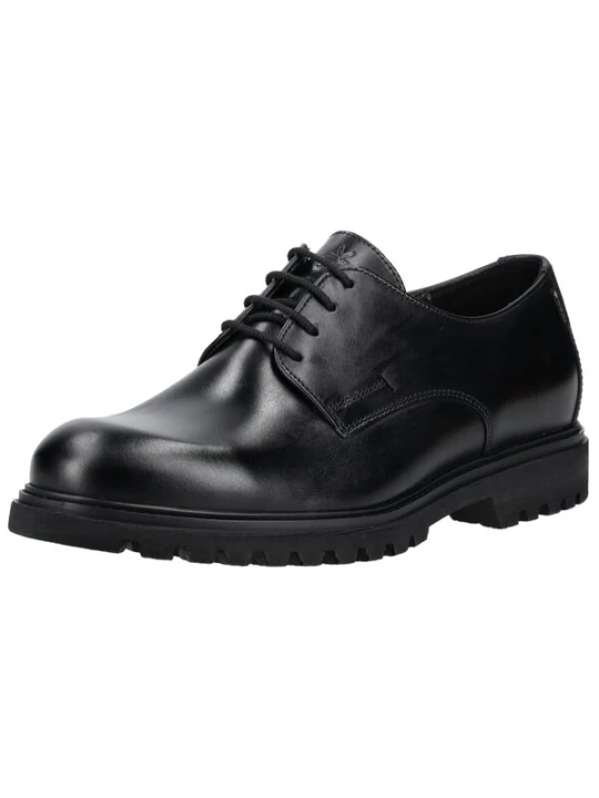 Foto van product LLOYD SELECTED Veterschoen zwart