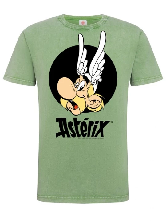 Foto van product LOGOSHIRT Shirt 'Asterix der Gallier – Asterix' jade groen / oranje / zwart / wit