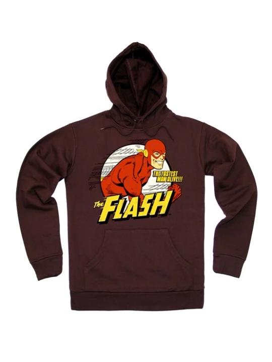 Foto van product LOGOSHIRT Sweatshirt 'DC Comics - Flash, Fastest Man Alive' bruin / geel / rood / wit