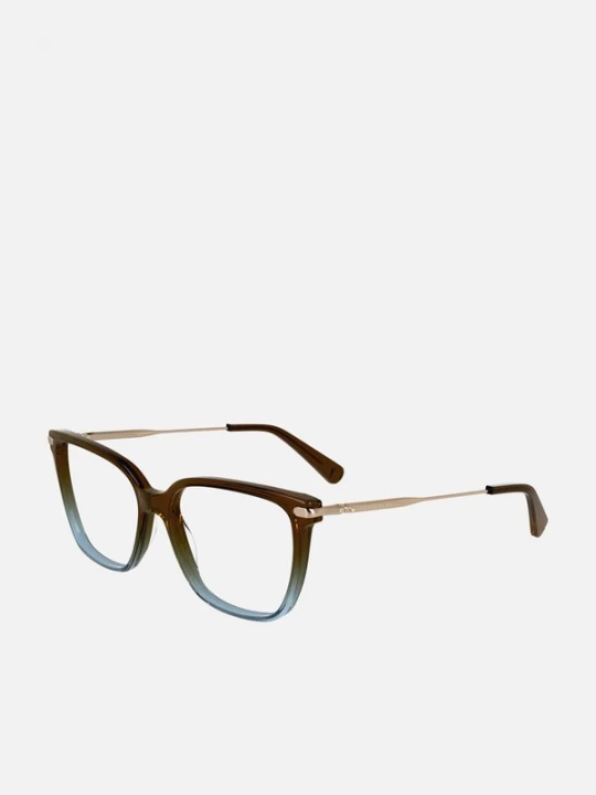 Foto van product Longchamp Zonnebril bruin