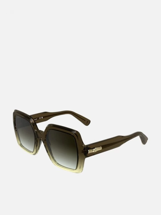 Foto van product Longchamp Zonnebril bruin