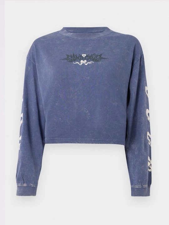 Foto van product Longsleeve Santa Cruz lichtblauw