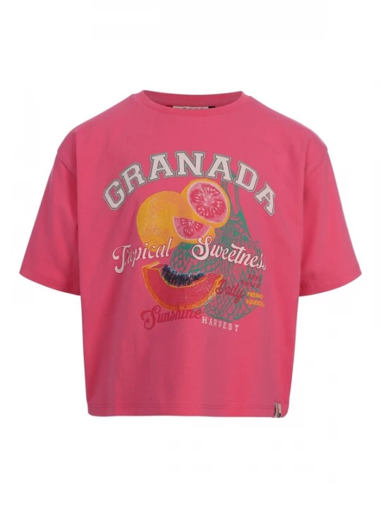 Foto van product Looxs Revolution Shirt pink