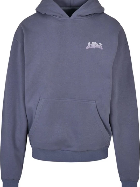 Foto van product Lost Youth Sweatshirt duifblauw / lichtgrijs / watermeloen rood