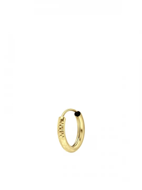Foto van product Lucardi Oorbel 'High Class' goud