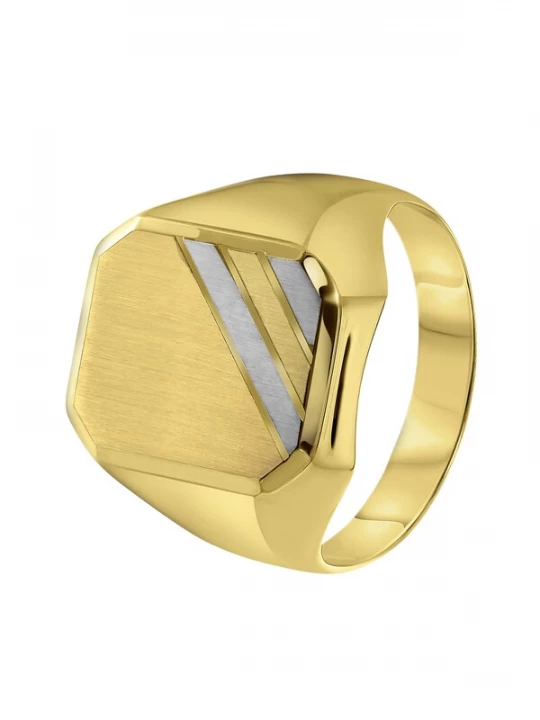 Foto van product Lucardi Ring goud / zilver