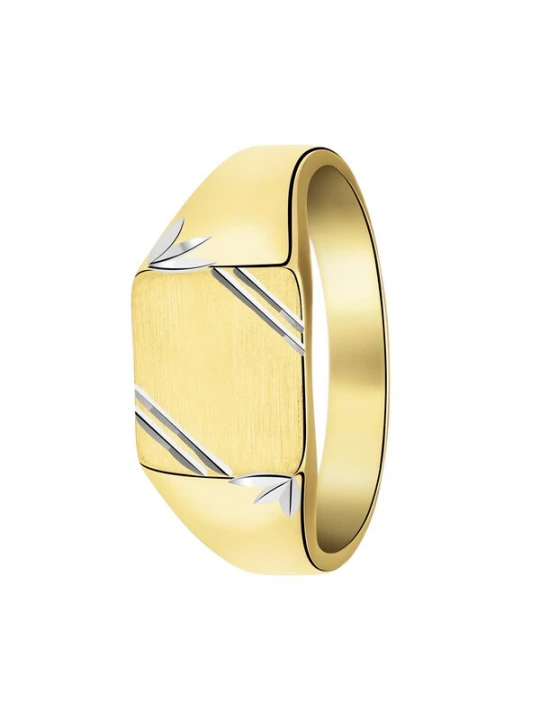 Foto van product Lucardi Ring 'Luxuriös' goud / zilver
