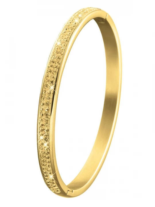 Foto van product Lucardi Sieraden goud