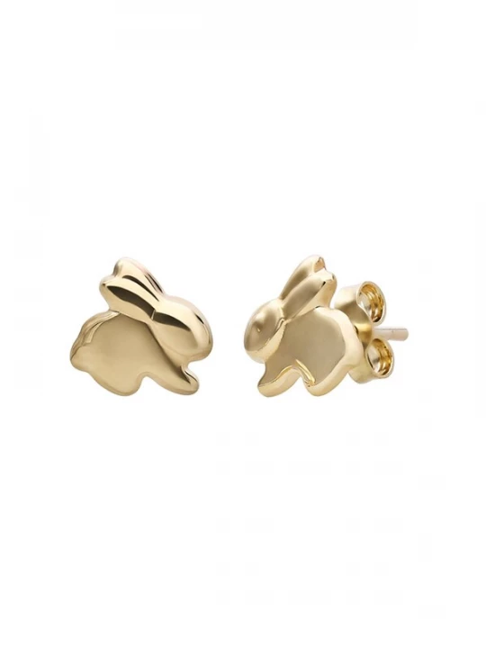 Foto van product Lucardi Sieraden goud