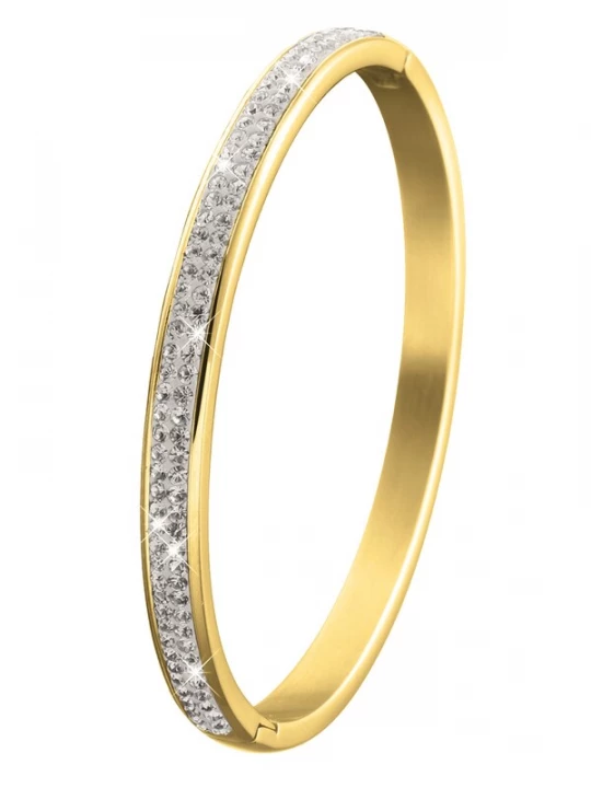 Foto van product Lucardi Sieraden goud / zilver