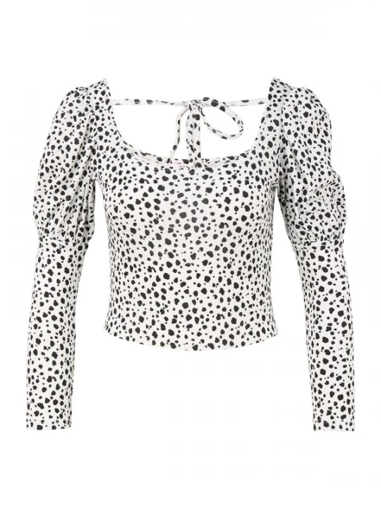 Foto van product Miss Selfridge Petite Blouse zwart / natuurwit