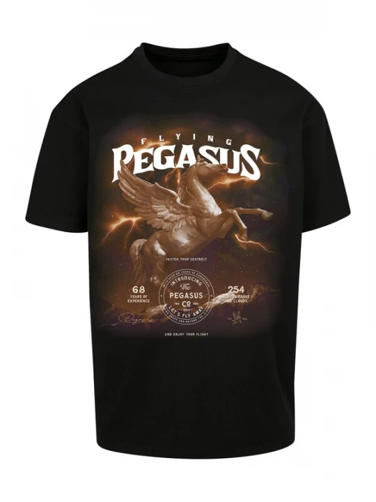 Foto van product Mister Tee Shirt 'Pegasus' lichtblauw / pueblo / mokka / wit