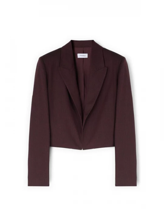 Foto van product MOTIVI Blazers bordeaux