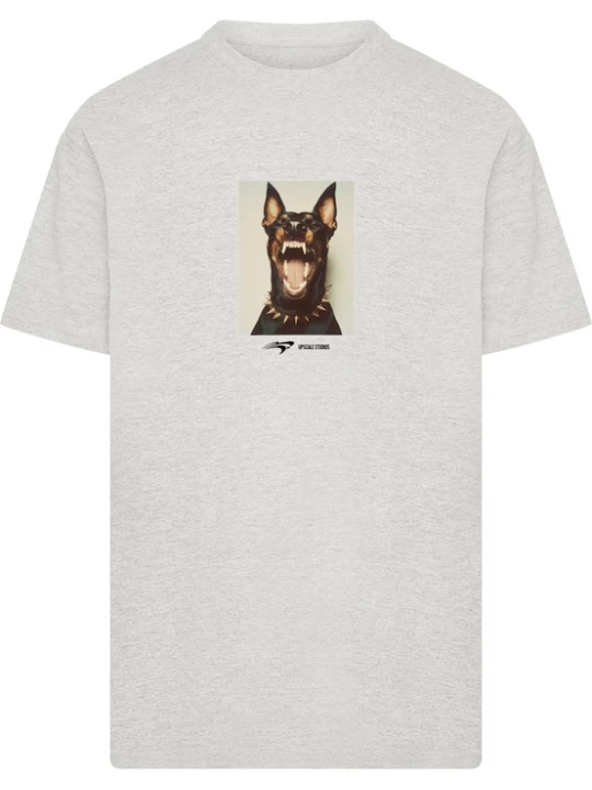 Foto van product MT Upscale Shirt 'Neighbors' grijs / gemengde kleuren