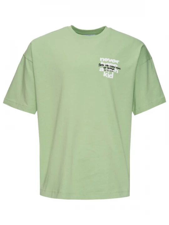 Foto van product Multiply Apparel Shirt pastelgroen / zwart / wit