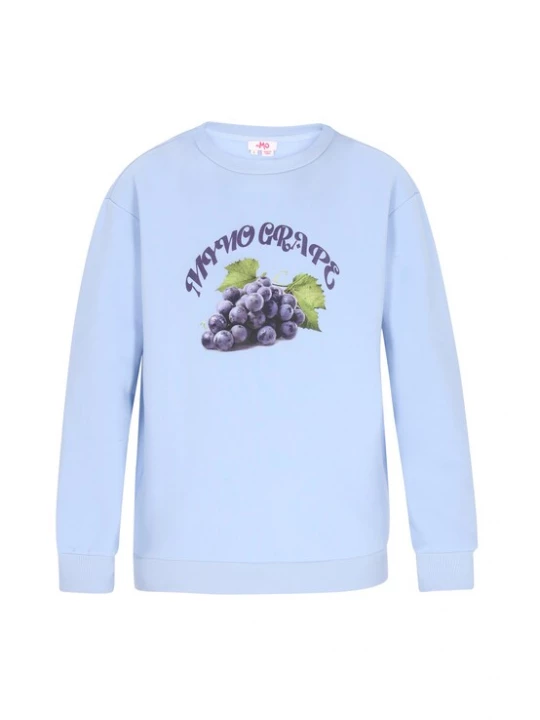 Foto van product MYMO Sweatshirt lichtblauw / groen / braam