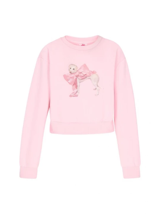 Foto van product MYMO Sweatshirt rosa / oudroze / wolwit