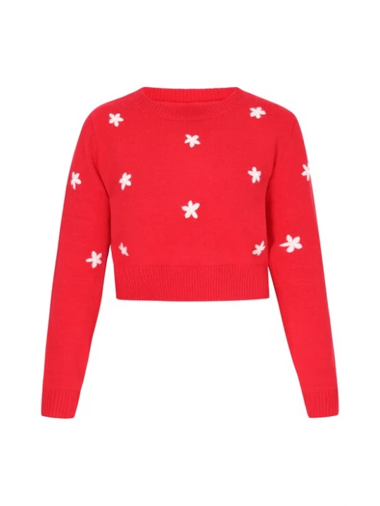 Foto van product MYMO Trui rood / wit