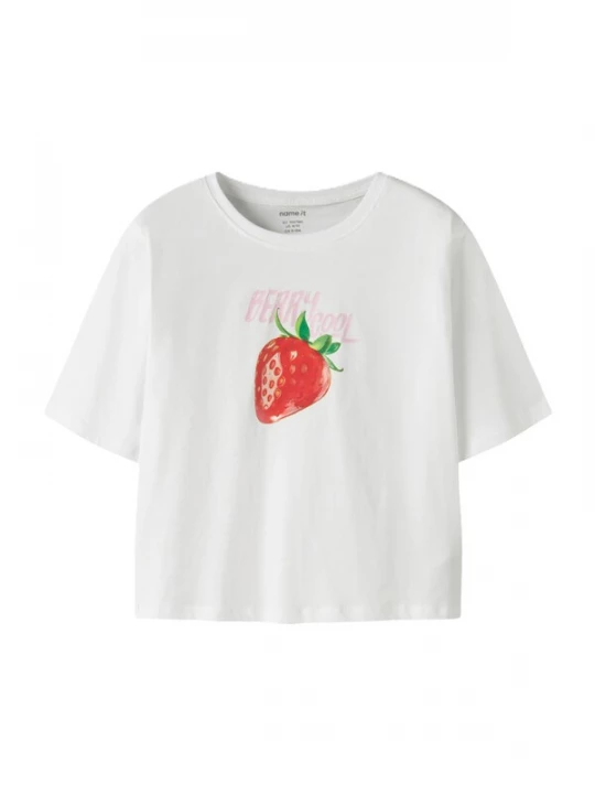 Foto van product NAME IT Shirt 'NKFFARINAZ' groen / rosé / rood / wit