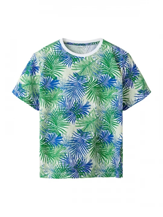 Foto van product NAME IT Shirt 'NKMJAXON' blauw / groen / wit
