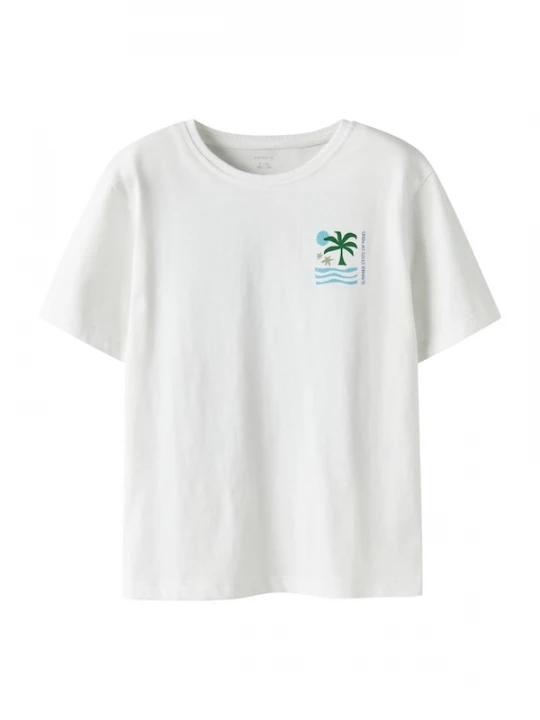 Foto van product NAME IT Shirt 'NKMJoel' blauw / lichtblauw / spar / wit