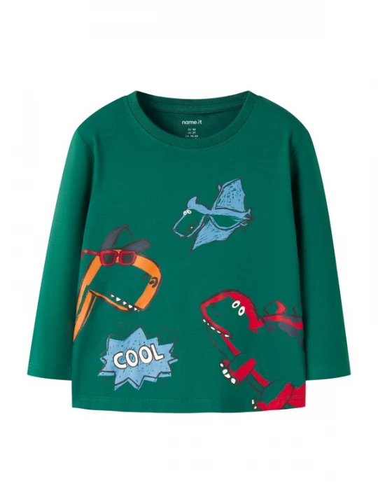 Foto van product NAME IT Shirt 'NMMLUCIUS' lichtblauw / groen / oranje / rood