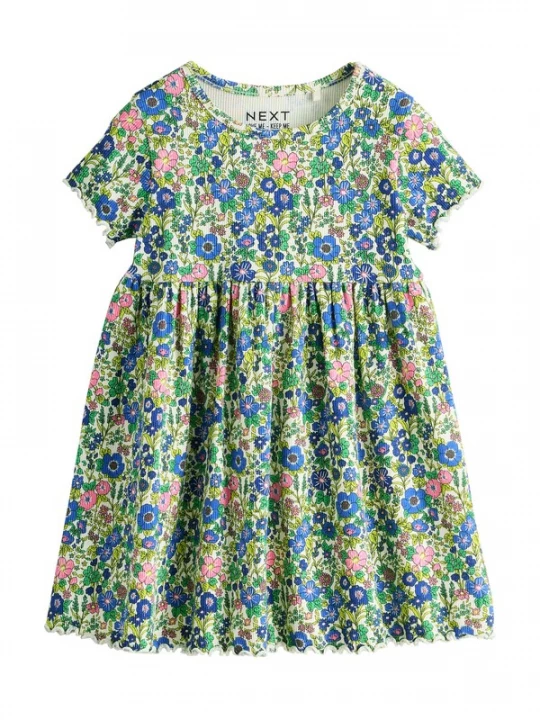 Foto van product Next Jurk blauw / grasgroen / lichtgroen / rosa