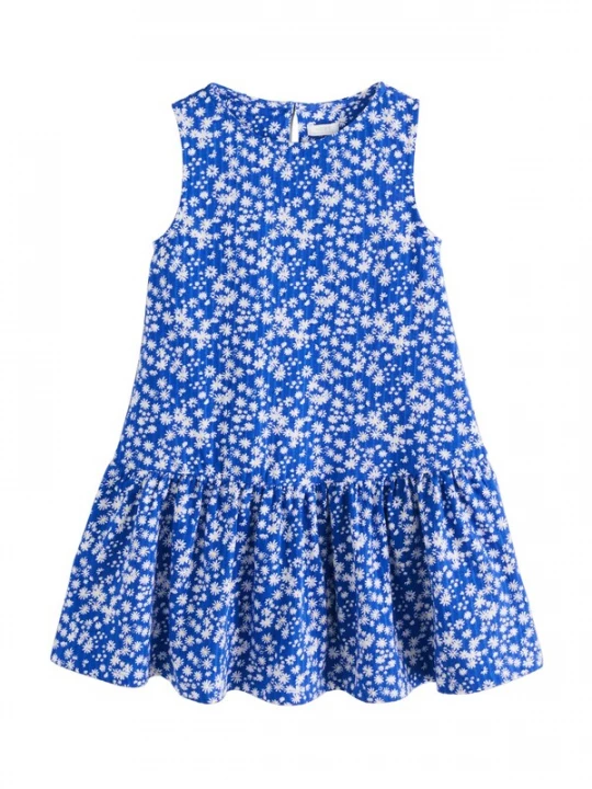 Foto van product Next Jurk blauw / wit