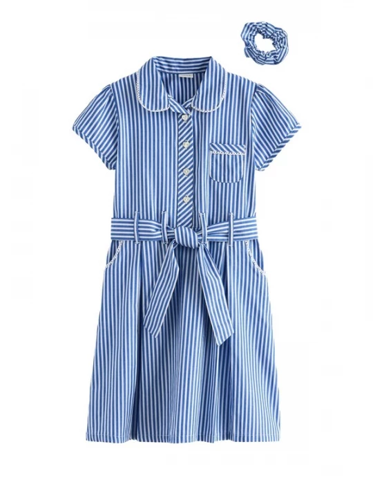 Foto van product Next Jurk blauw / wit