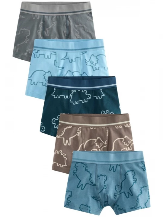 Foto van product Next Onderbroek lichtblauw / donkerblauw / bruin / grijs
